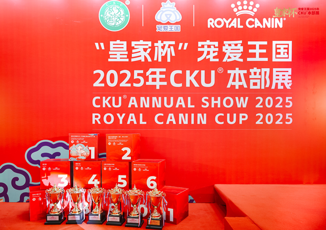 皇家之星，闪耀青岛！ 第三届“皇家杯”犬展圆满落幕，皇家以专业赛事推动科学繁育新发展