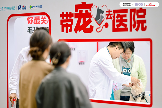 皇家宠物食品“带宠去医院”八载同行：以专业之力守护健康，以科学之心延续陪伴