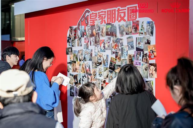 皇家“带宠去医院”巡演活动杭州站