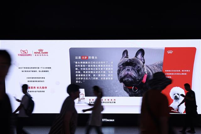 皇家携手天猫超级品牌日，在上海徐家汇地铁站打造人宠故事长廊