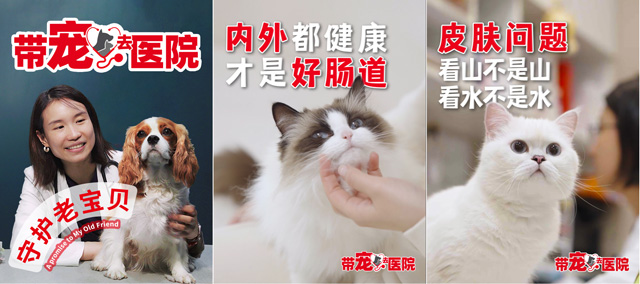 皇家推出宠物健康问题系列科普短视频