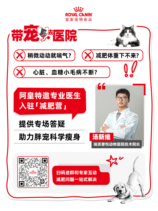 皇家携手瑞派宠物医院，将兽医专家资源输送到社群
