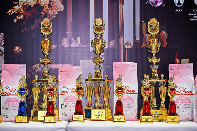 皇家杯PSC环球名猫标准竞技赛的成功举办，是一次行业标准、国际视野、品牌力量与平台资源的多维交响